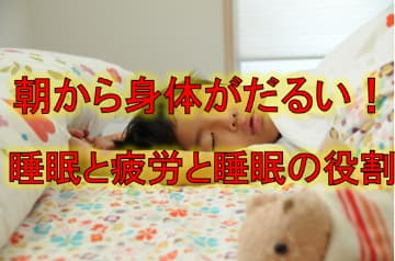 朝から身体がだるい！睡眠と疲労と睡眠の役割